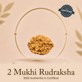 Certified 2 Mukhi Rudraksha Rameshwaram