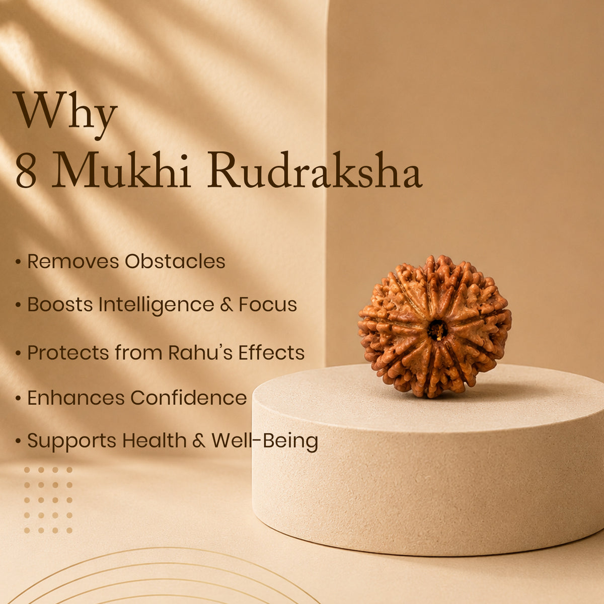 Certified 8 Mukhi Rudraksha (Nepal) - 17mm to 22mm