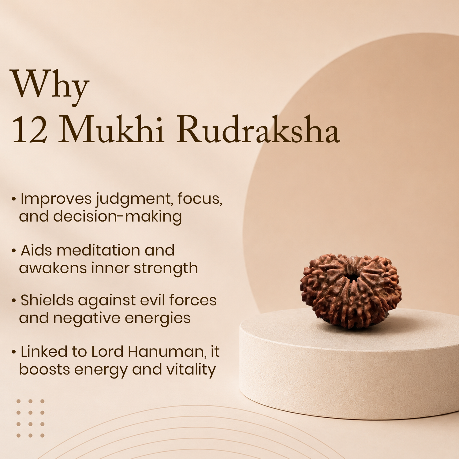 Certified 12 Mukhi Rudraksha
