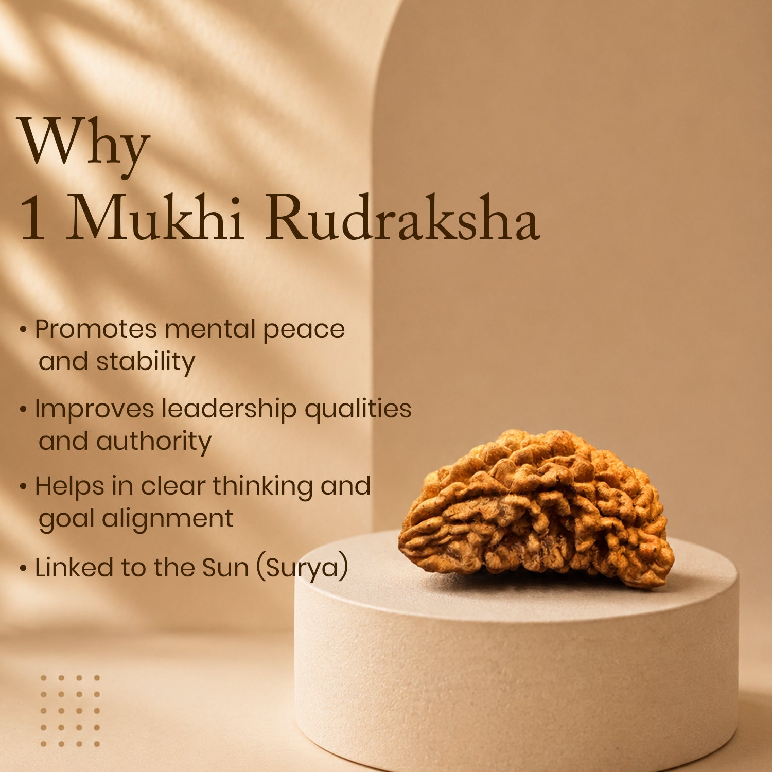 Certified 1 Mukhi Rudraksha (South Indian)