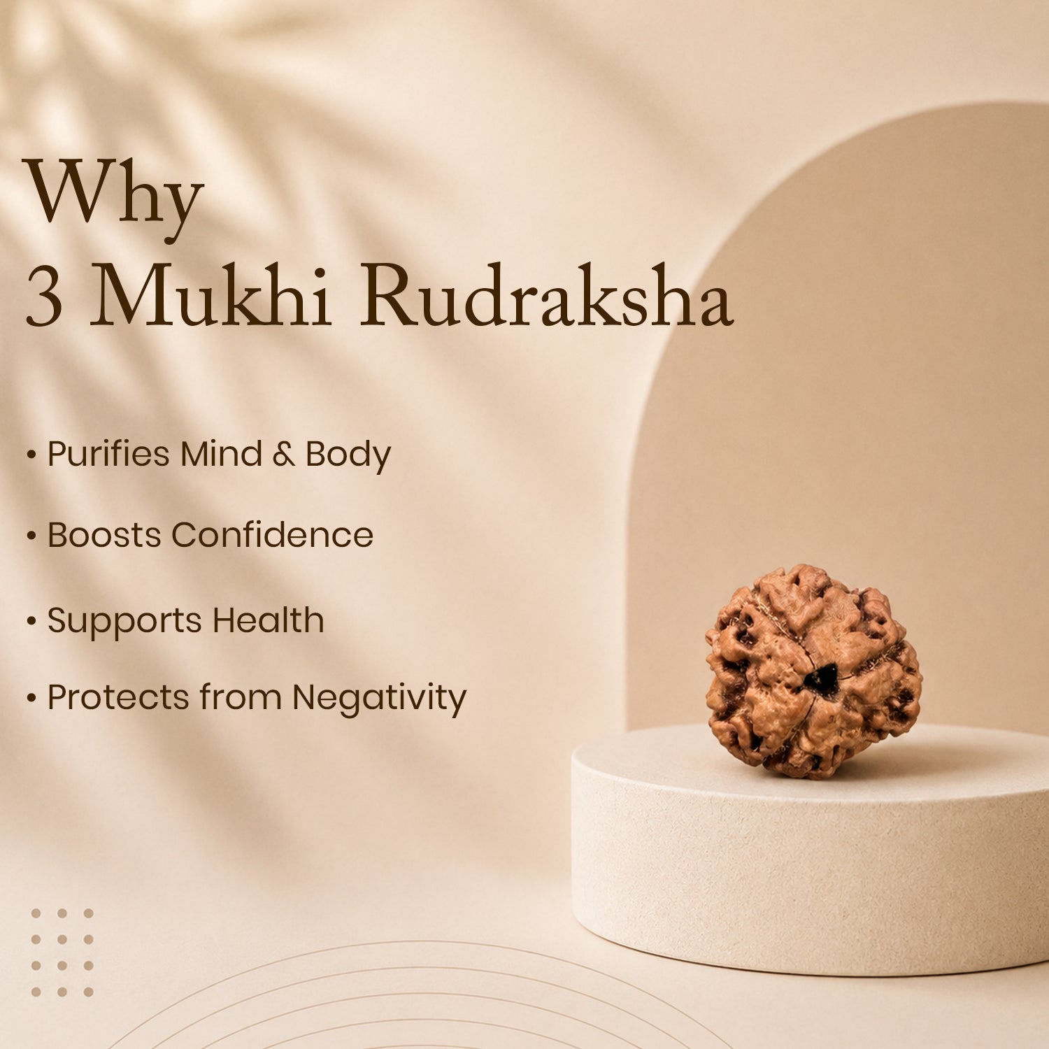 Certified 8 Mukhi Rudraksha