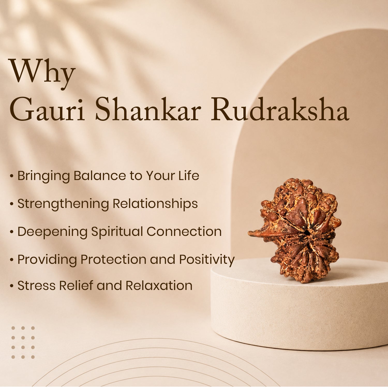 Certified Gauri Shankar Rudraksha