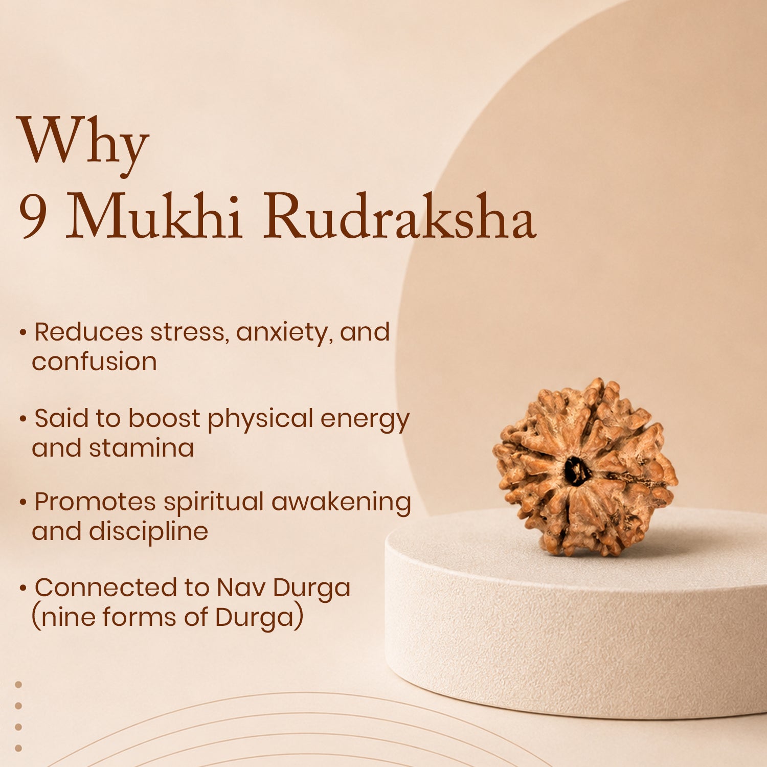 Certified 9 Mukhi Rudraksha