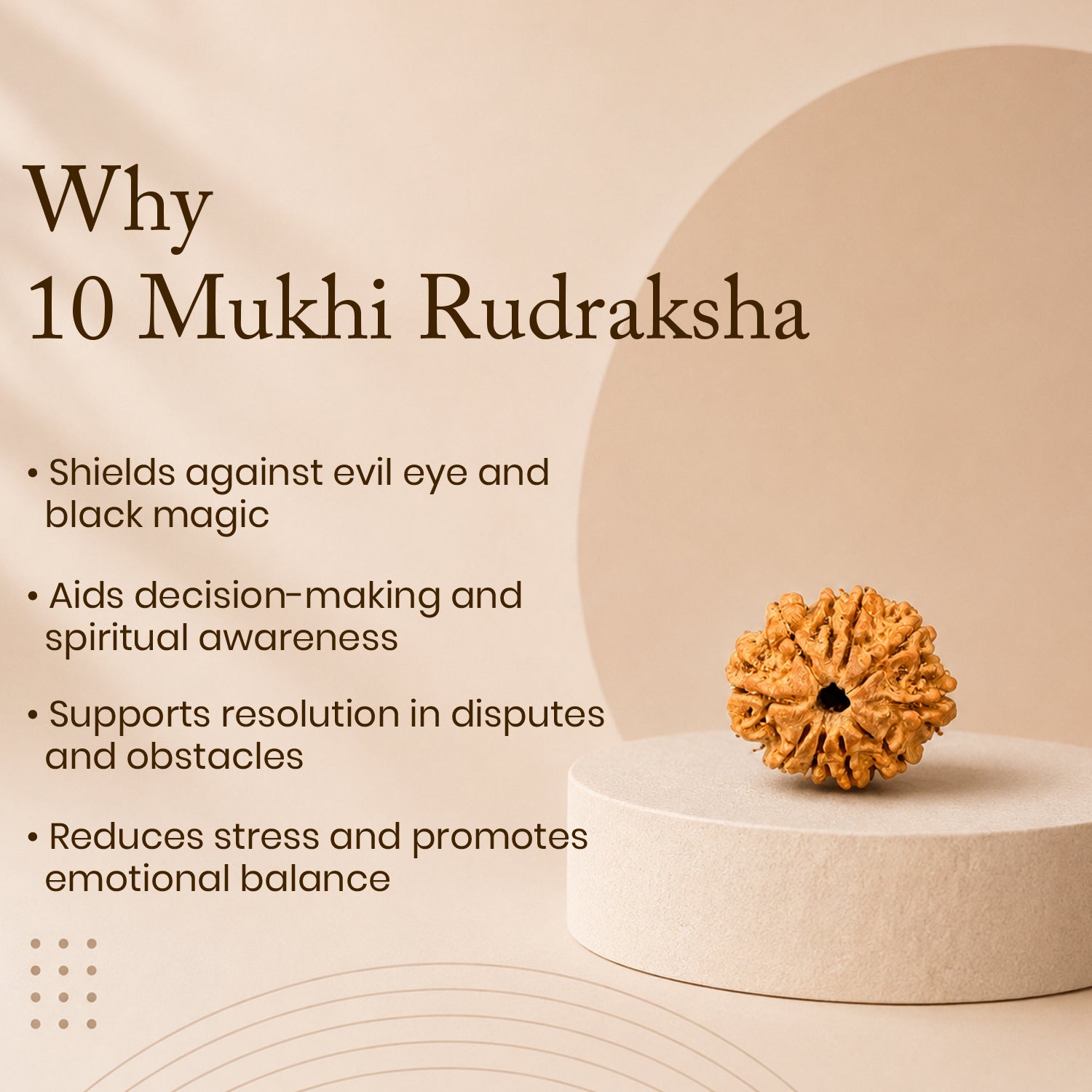Certified 10 Mukhi Rudraksha