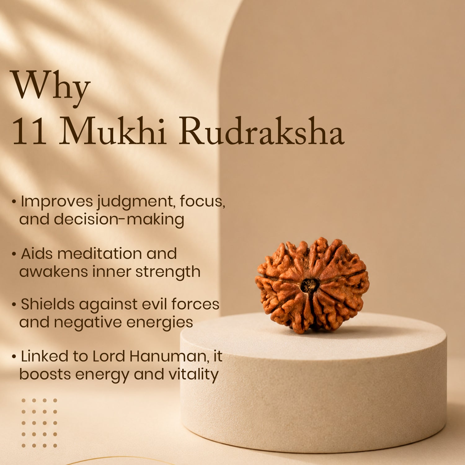 Certified 11 Mukhi Rudraksha