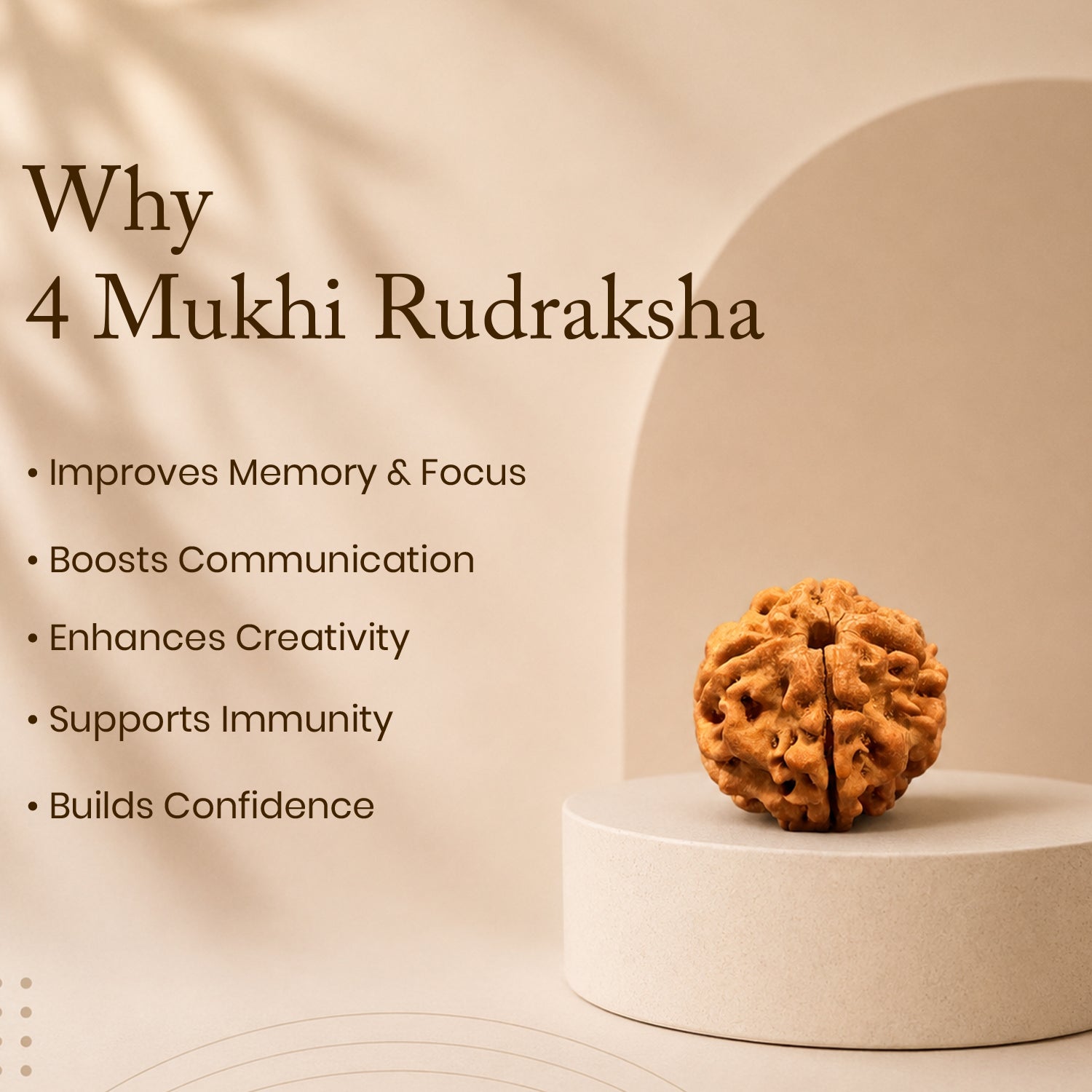 Certified 4 Mukhi Rudraksha