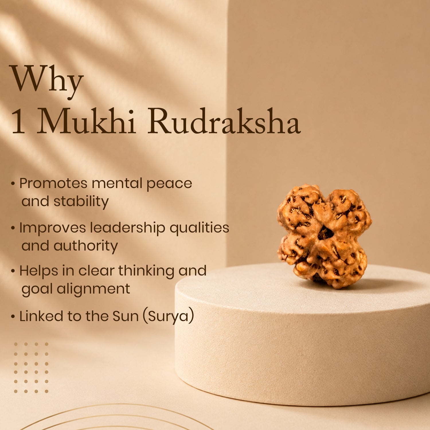 Certified 1 Mukhi Rudraksha