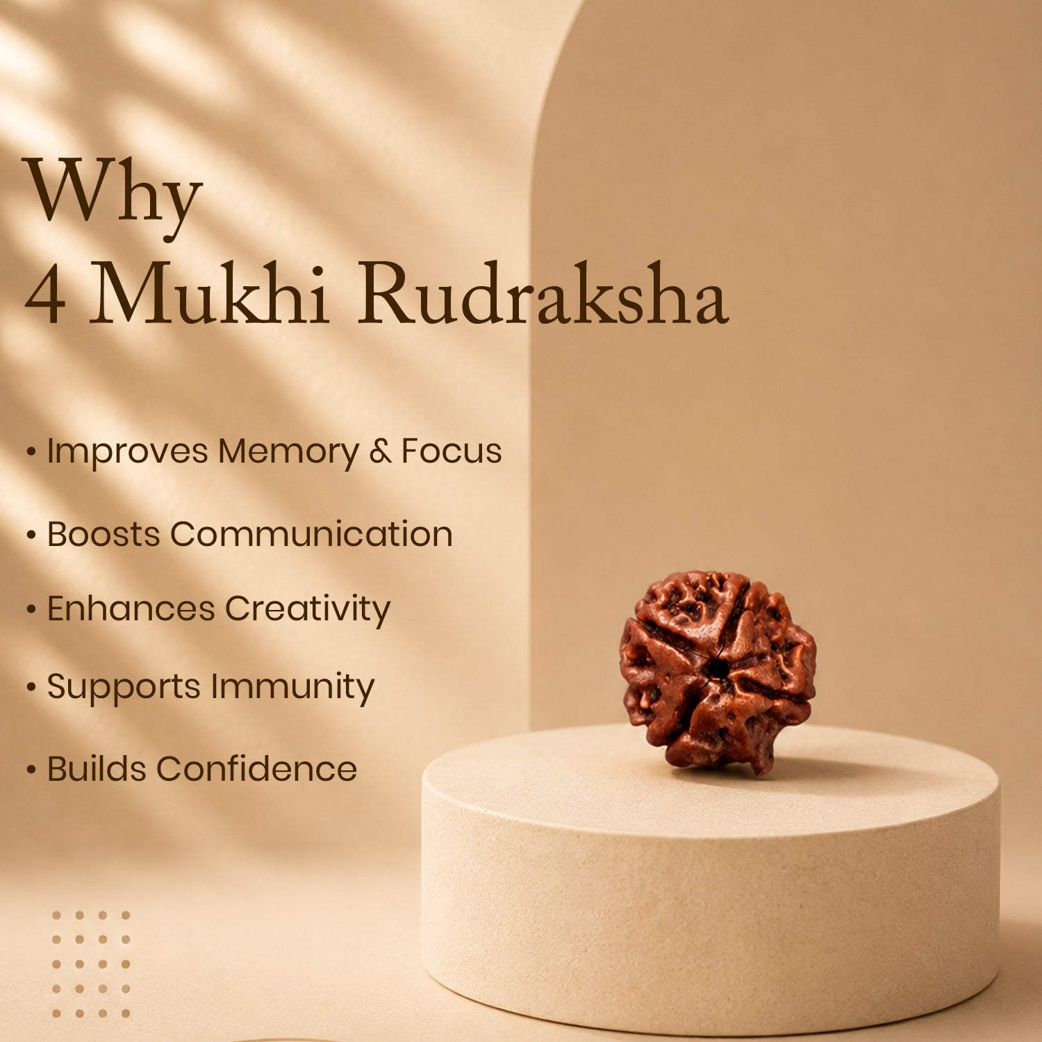 Certified Ganesh Mukhi Rudraksha
