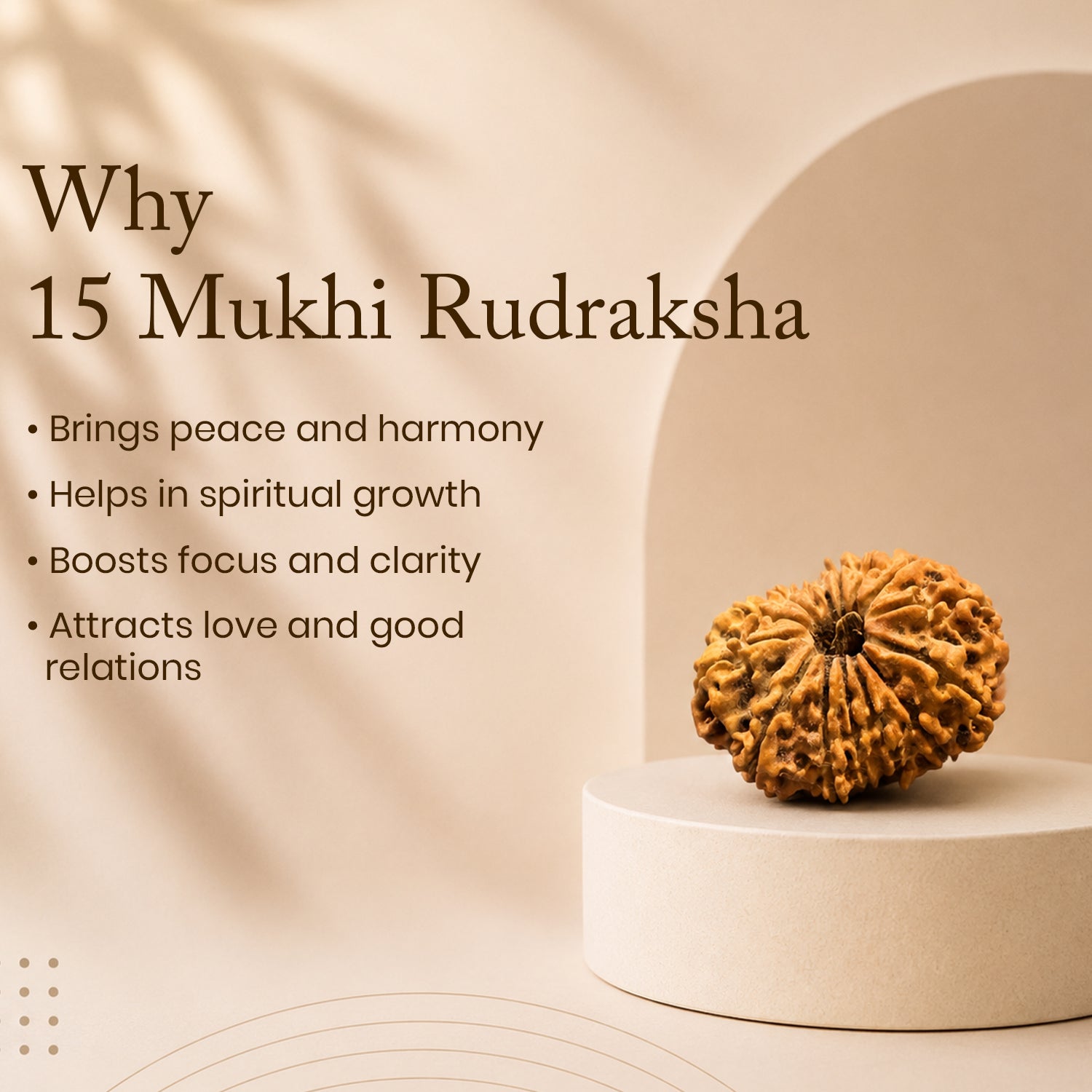 Certified 15 Mukhi Rudraksha