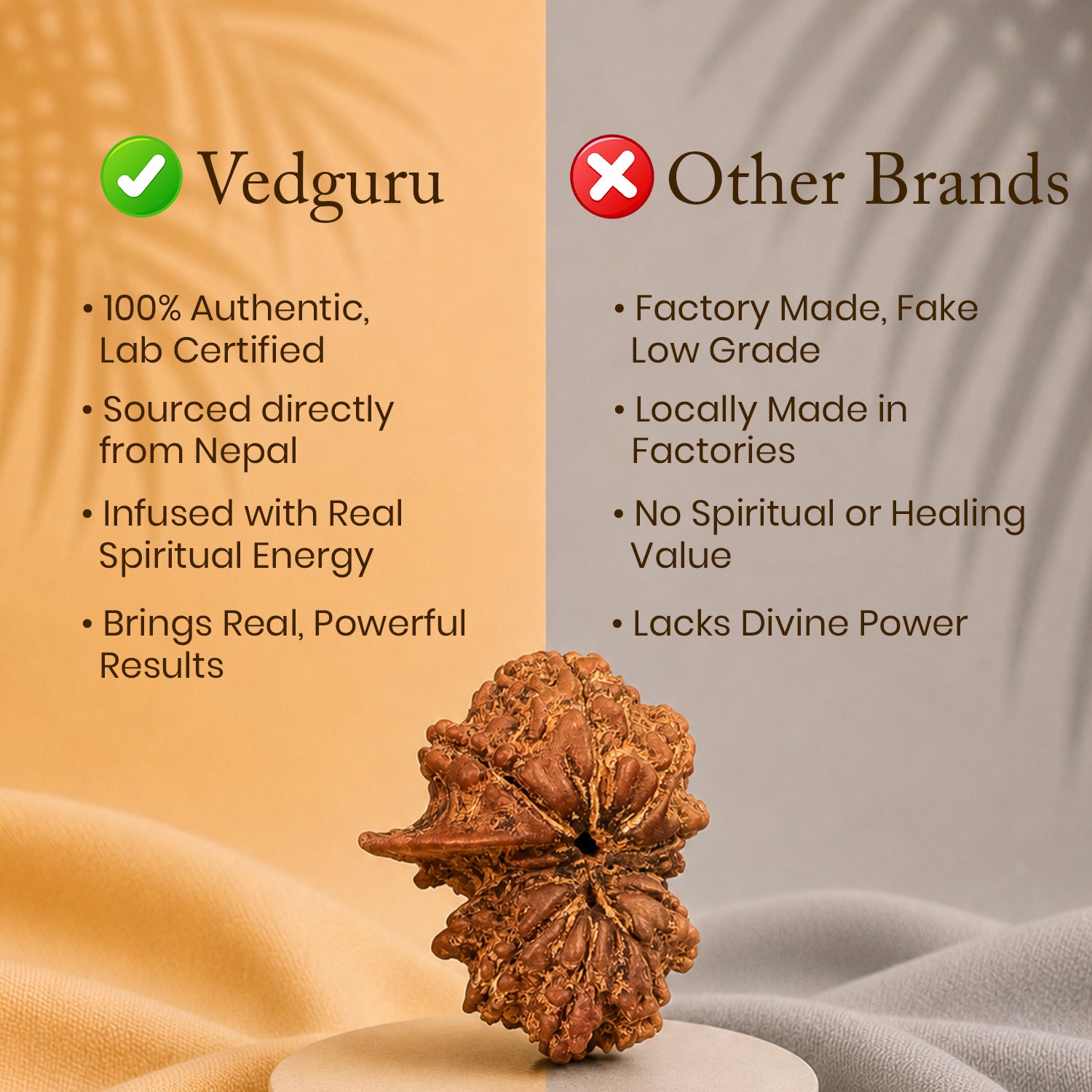 Certified Gauri Shankar Rudraksha