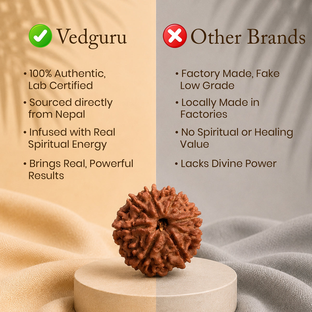 Certified 8 Mukhi Rudraksha (Nepal) - 17mm to 22mm