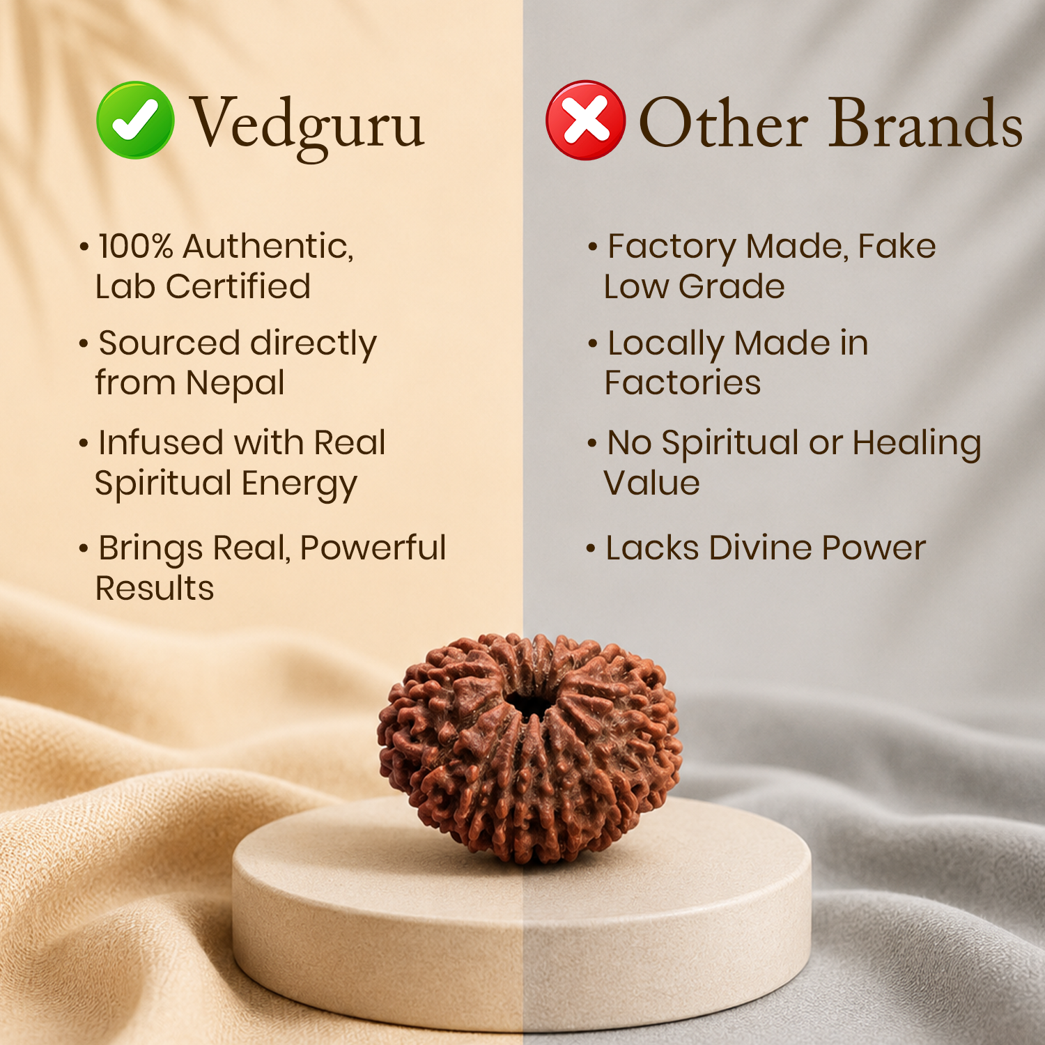 Certified 12 Mukhi Rudraksha