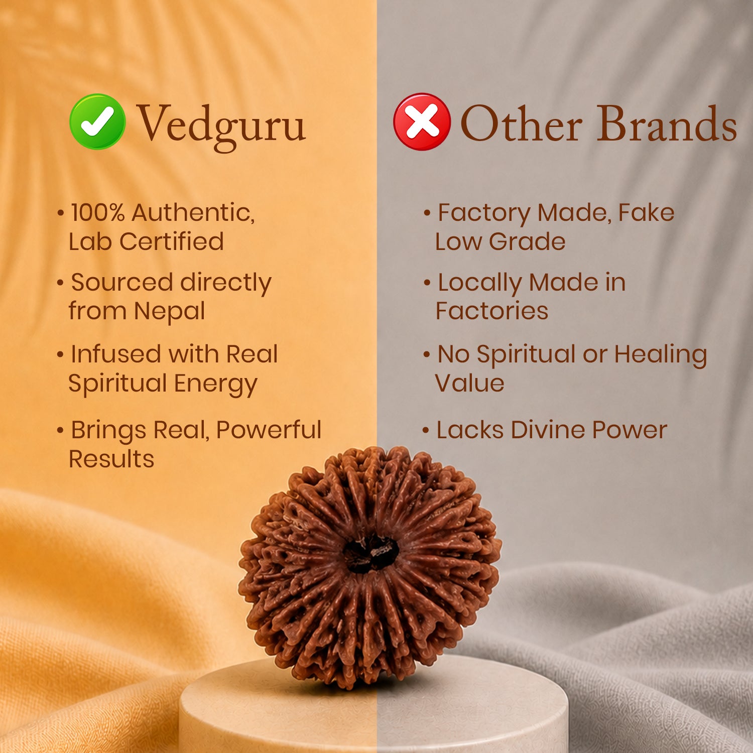 Certified 16 Mukhi Rudraksha