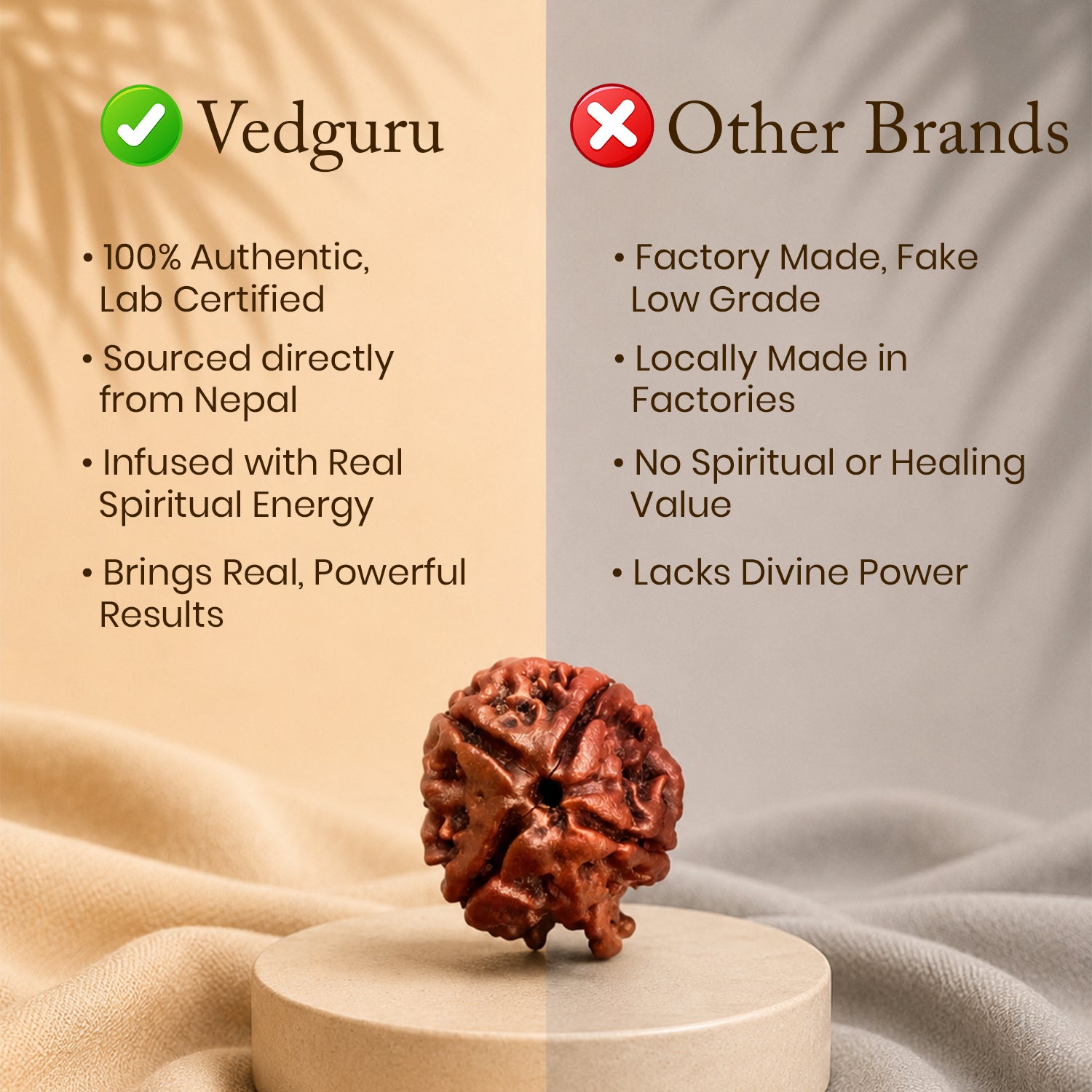 Certified Ganesh Mukhi Rudraksha