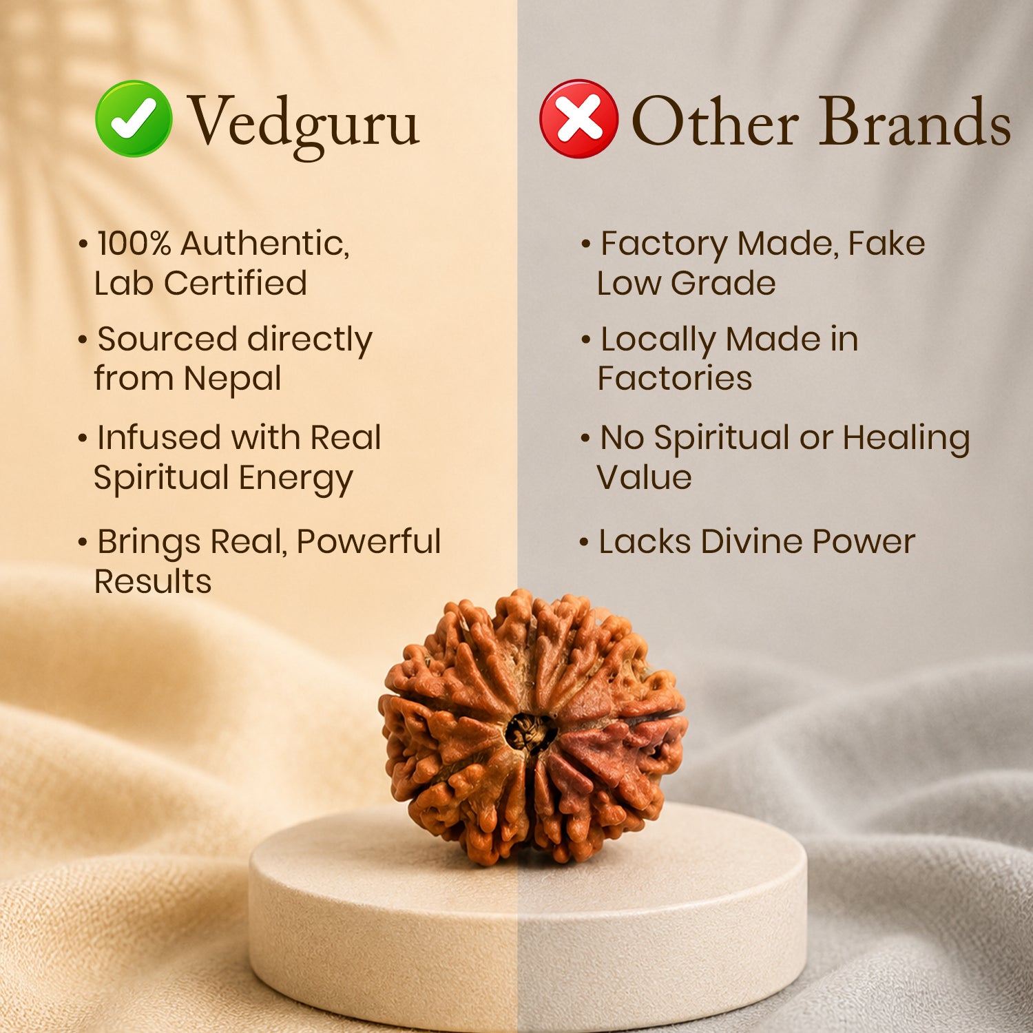 Certified 15 Mukhi Rudraksha