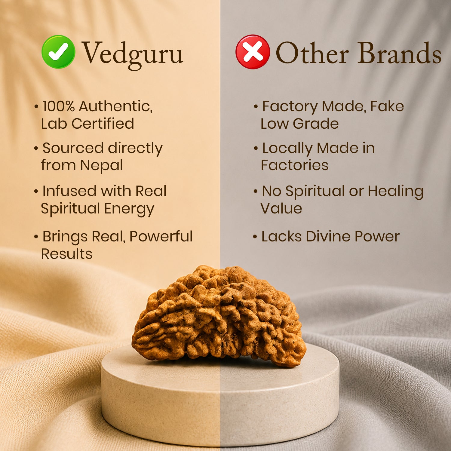 Certified 1 Mukhi Rudraksha (South Indian)
