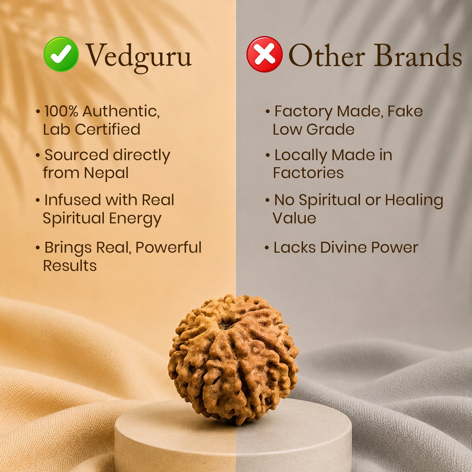 Certified 8 Mukhi Rudraksha