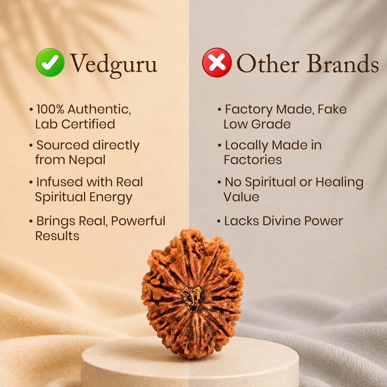 Certified 14 Mukhi Rudraksha