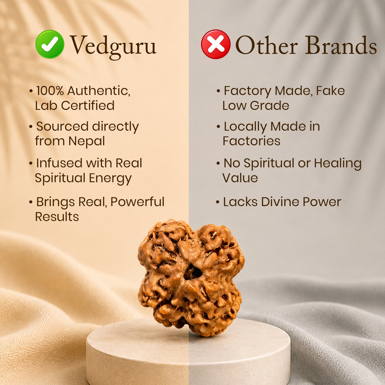 Certified 1 Mukhi Rudraksha