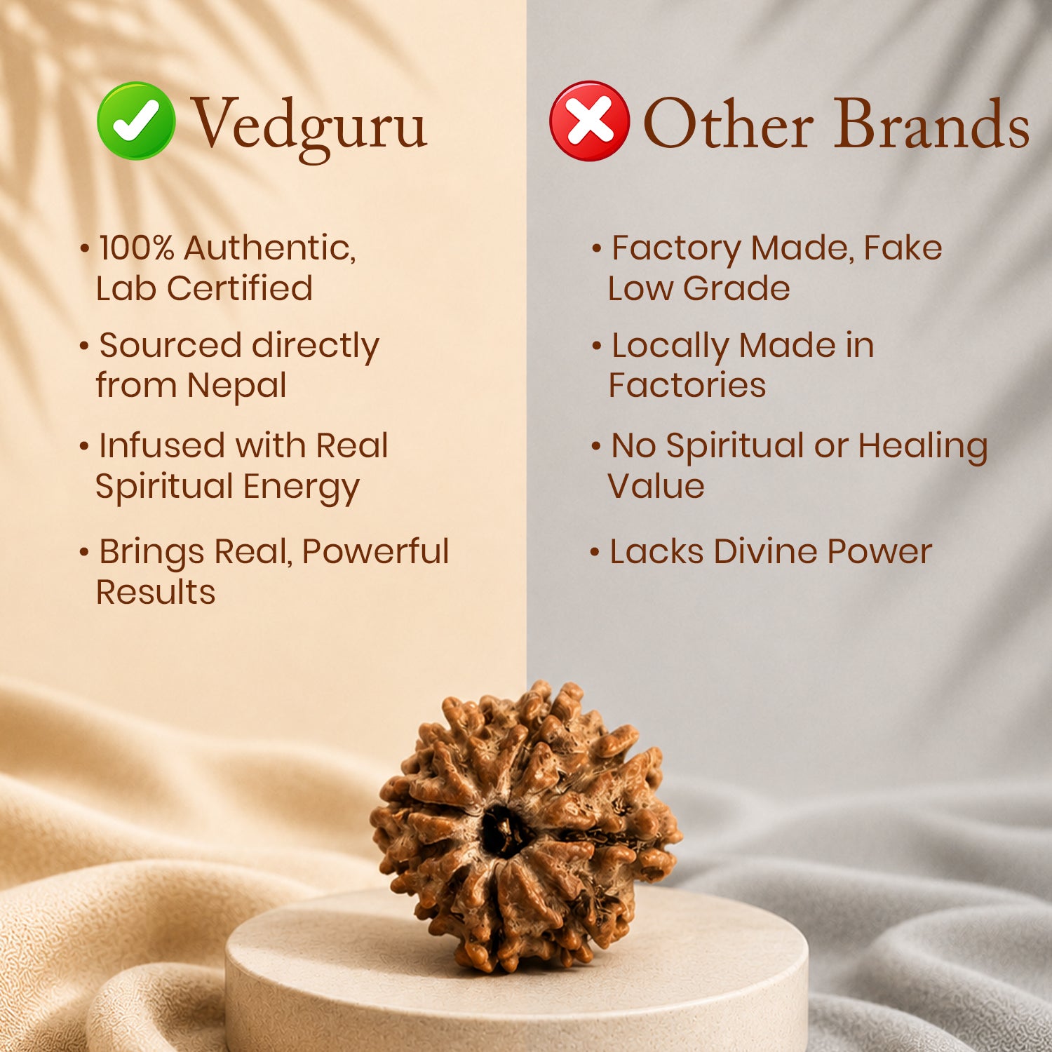 Certified 9 Mukhi Rudraksha