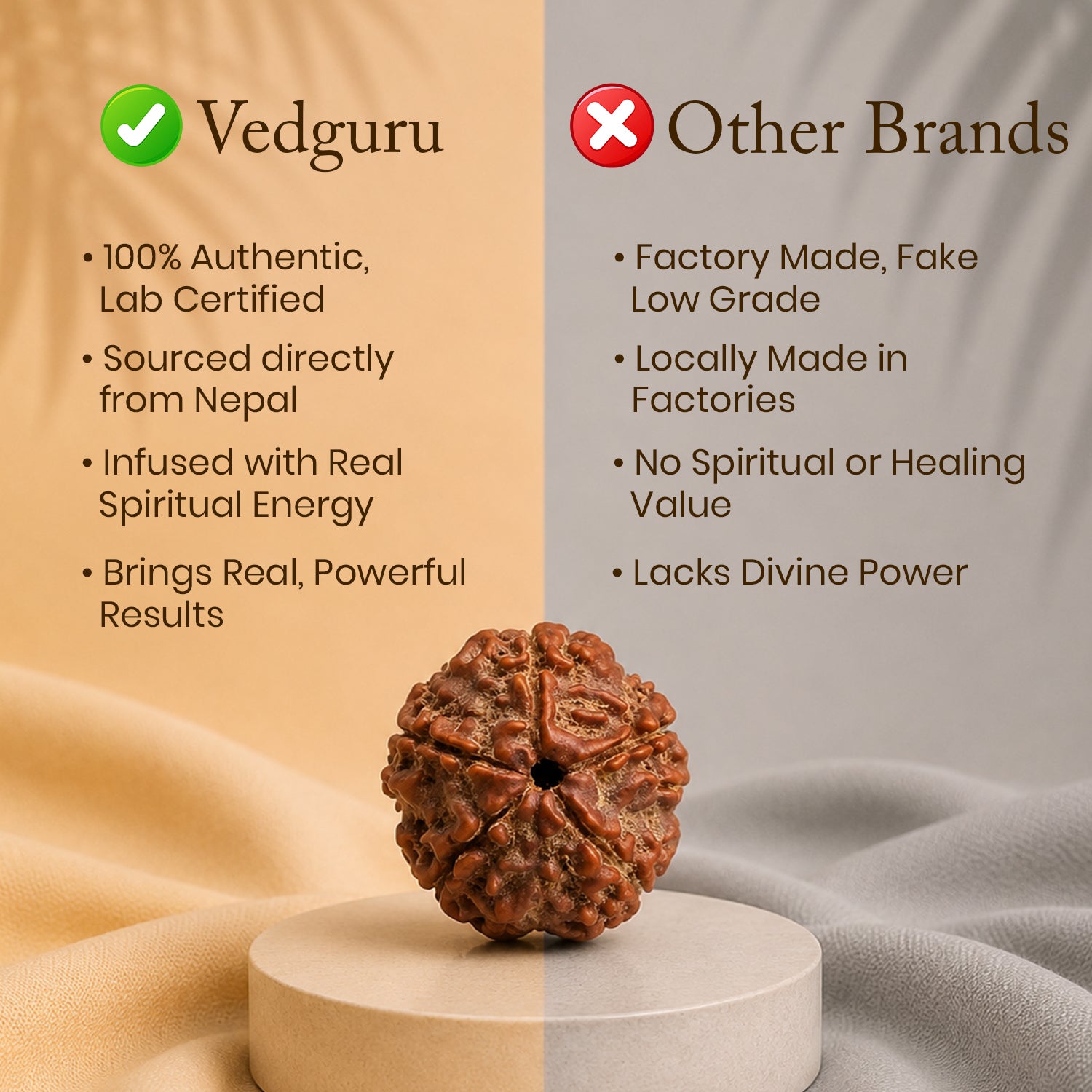 Certified 5 Mukhi Rudraksha
