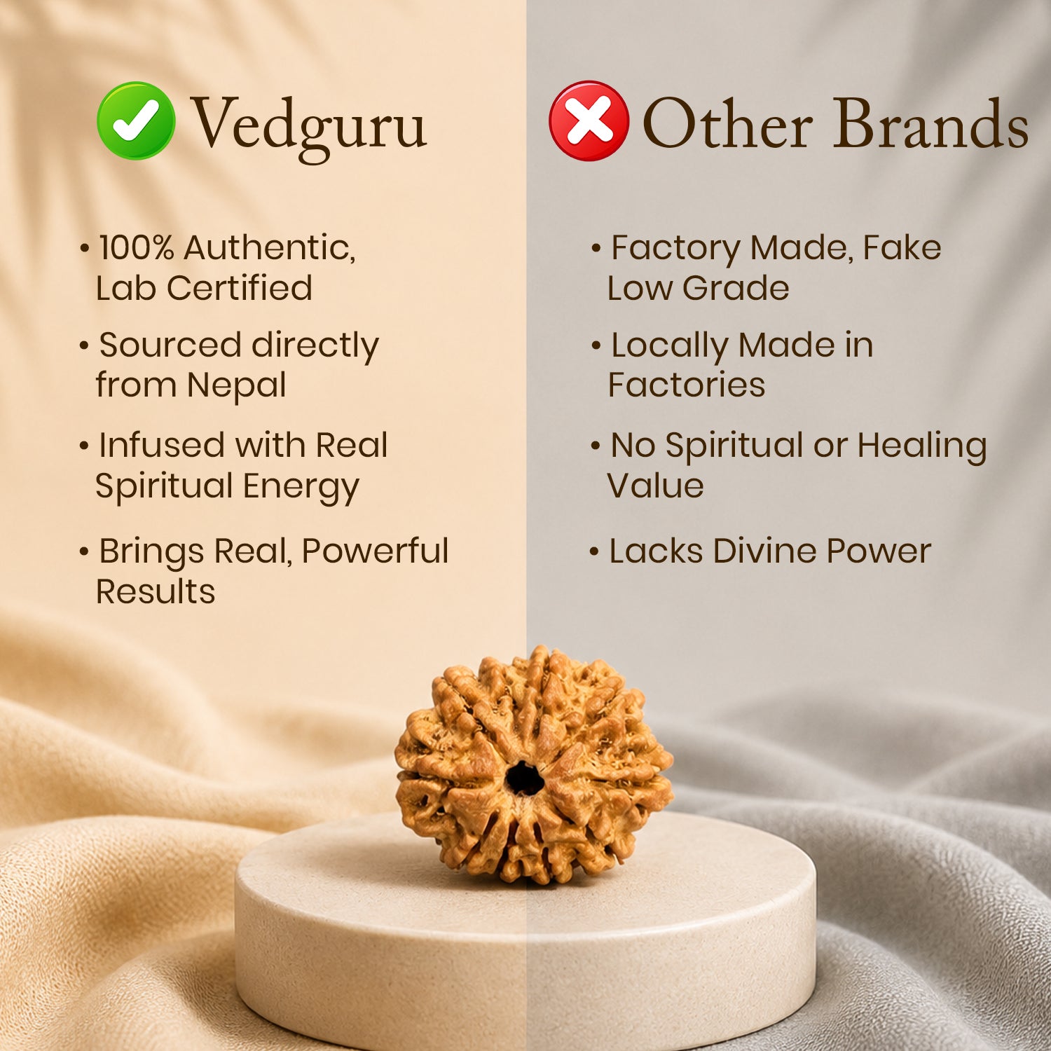 Certified 10 Mukhi Rudraksha