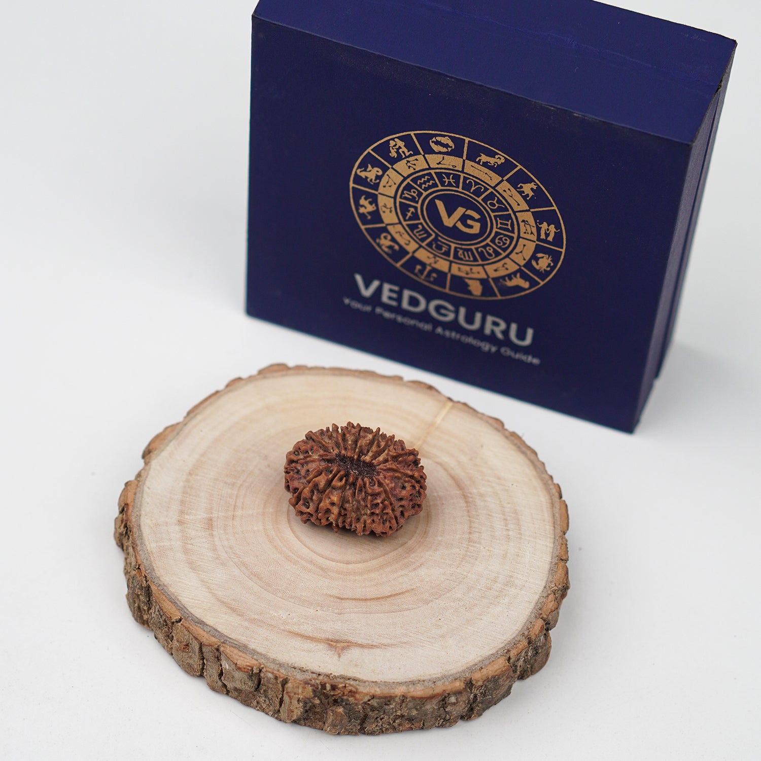 Certified 15 Mukhi Rudraksha