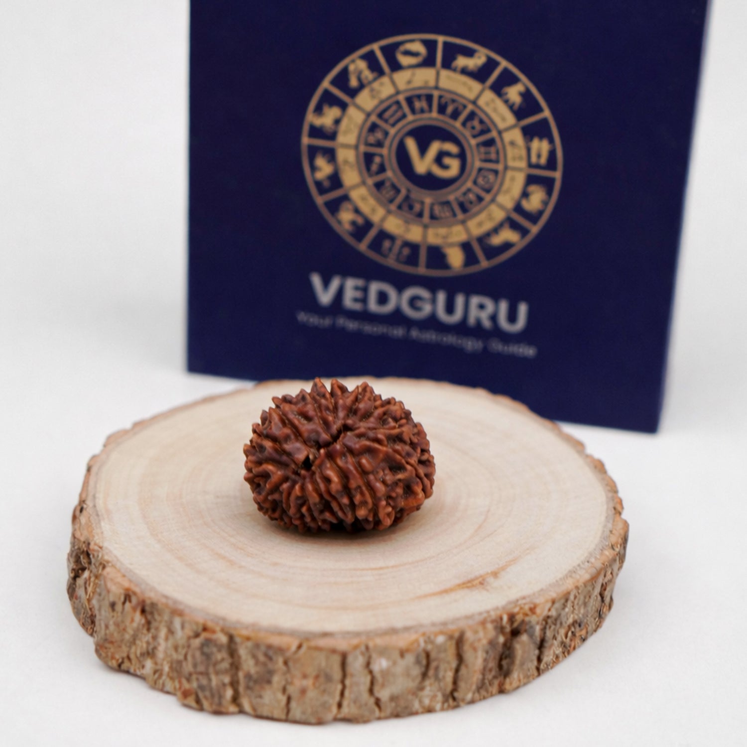 Certified 16 Mukhi Rudraksha