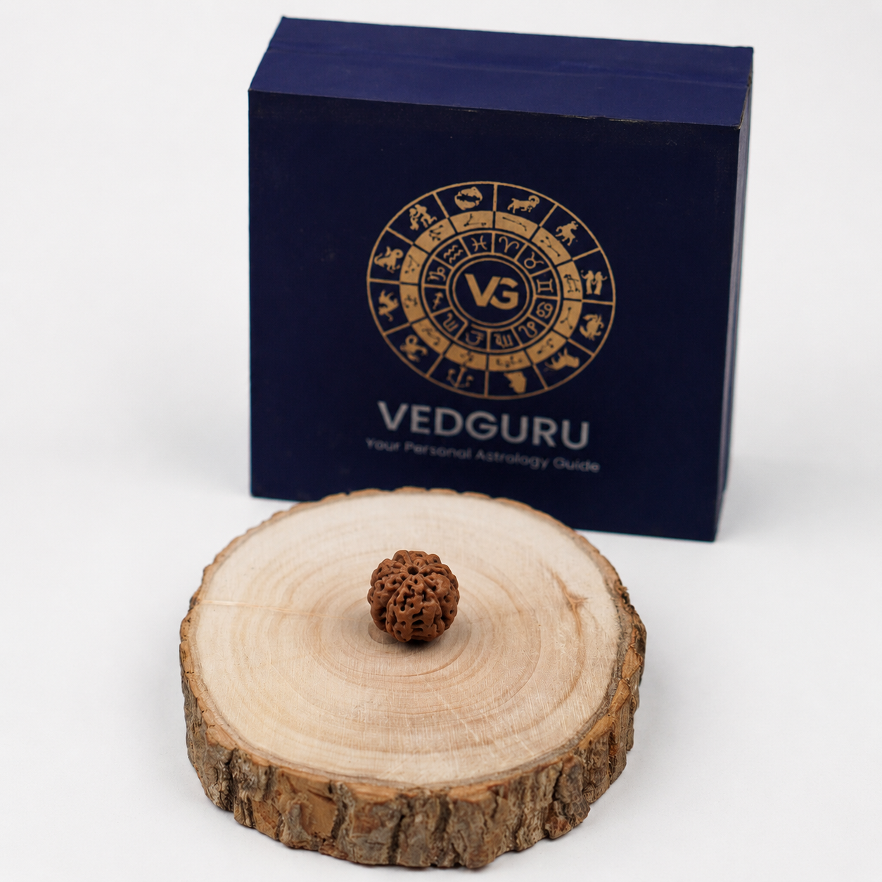 Certified 5 Mukhi Rudraksha