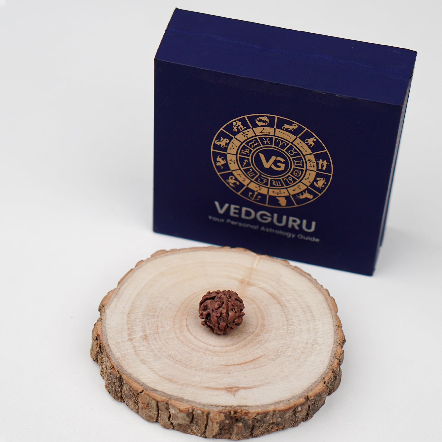 Certified 8 Mukhi Rudraksha