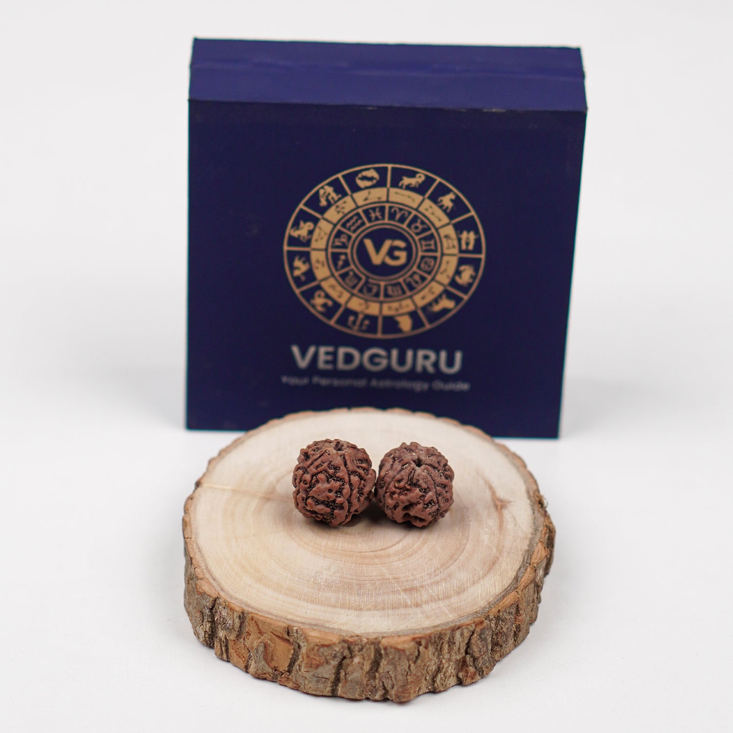 Certified Ganesh Mukhi Rudraksha
