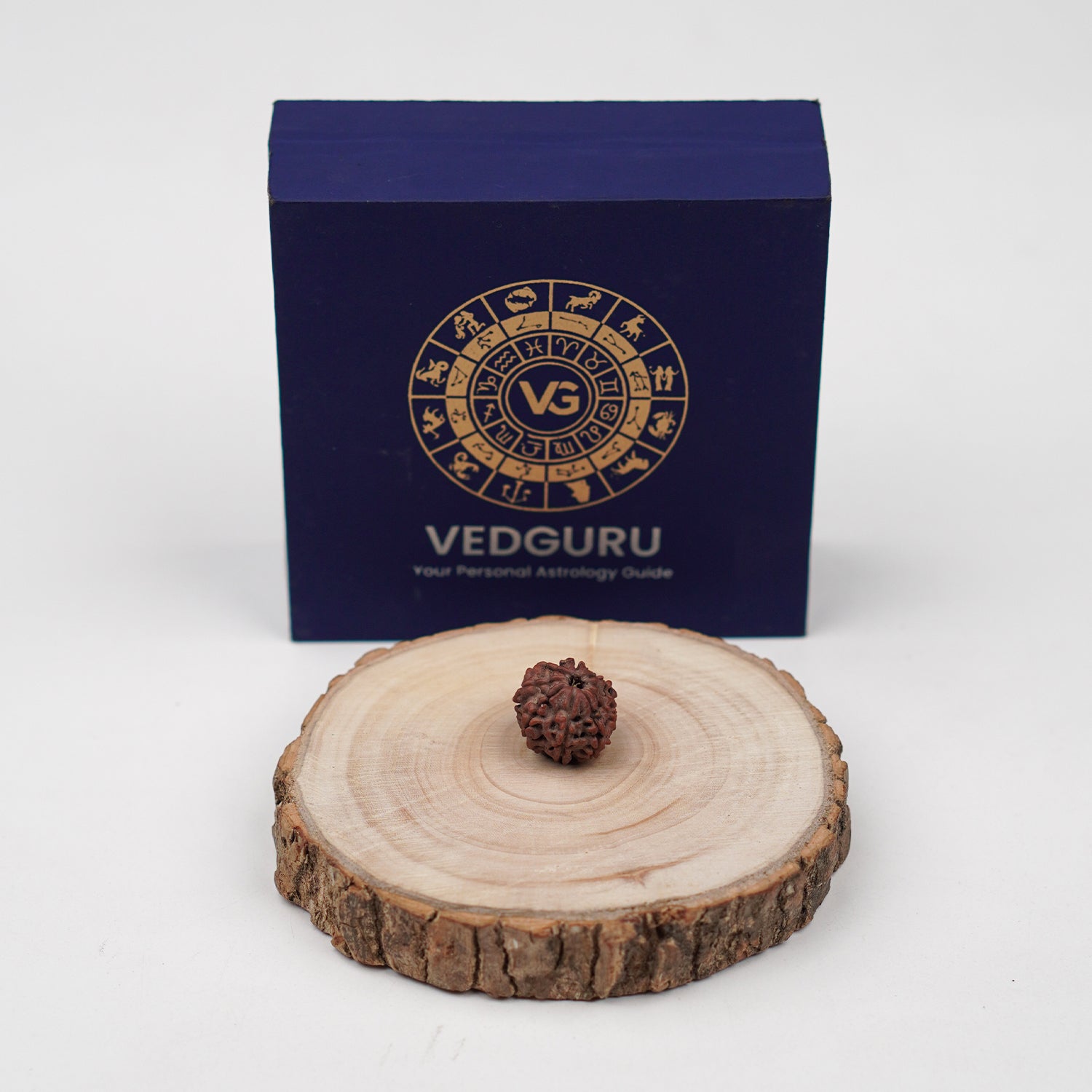 Certified 10 Mukhi Rudraksha