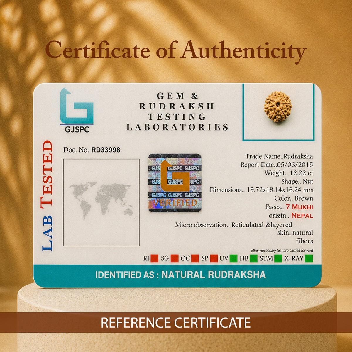 Certified 7 Mukhi Rudraksha (Nepal) - 17mm to 22mm