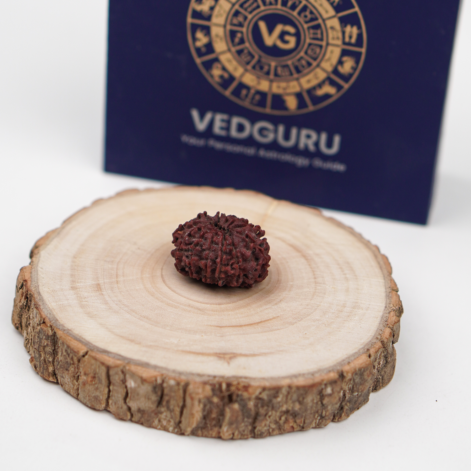 Certified 12 Mukhi Rudraksha