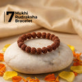 7 Mukhi Rudraksha Bracelet