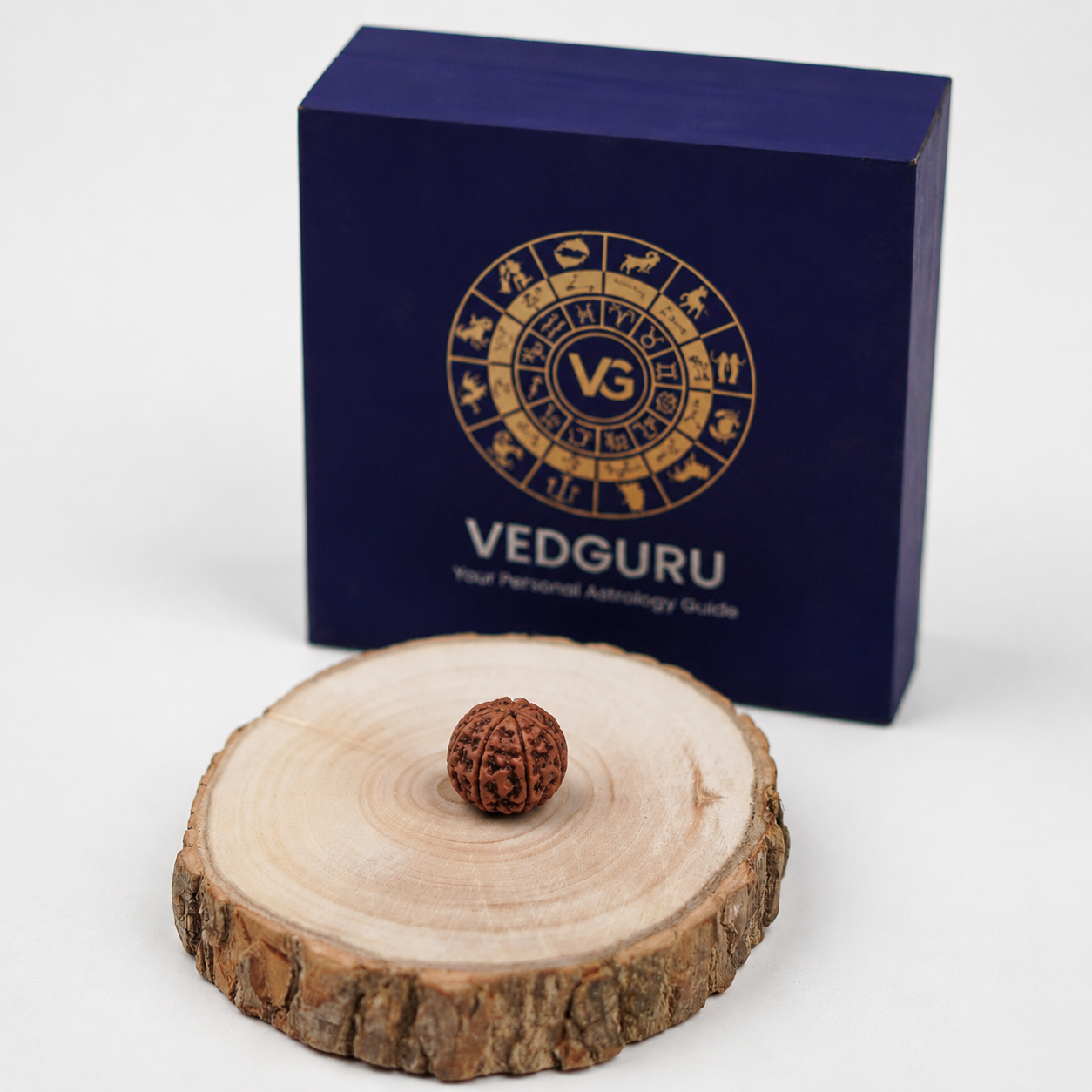 Certified 6 Mukhi Rudraksha