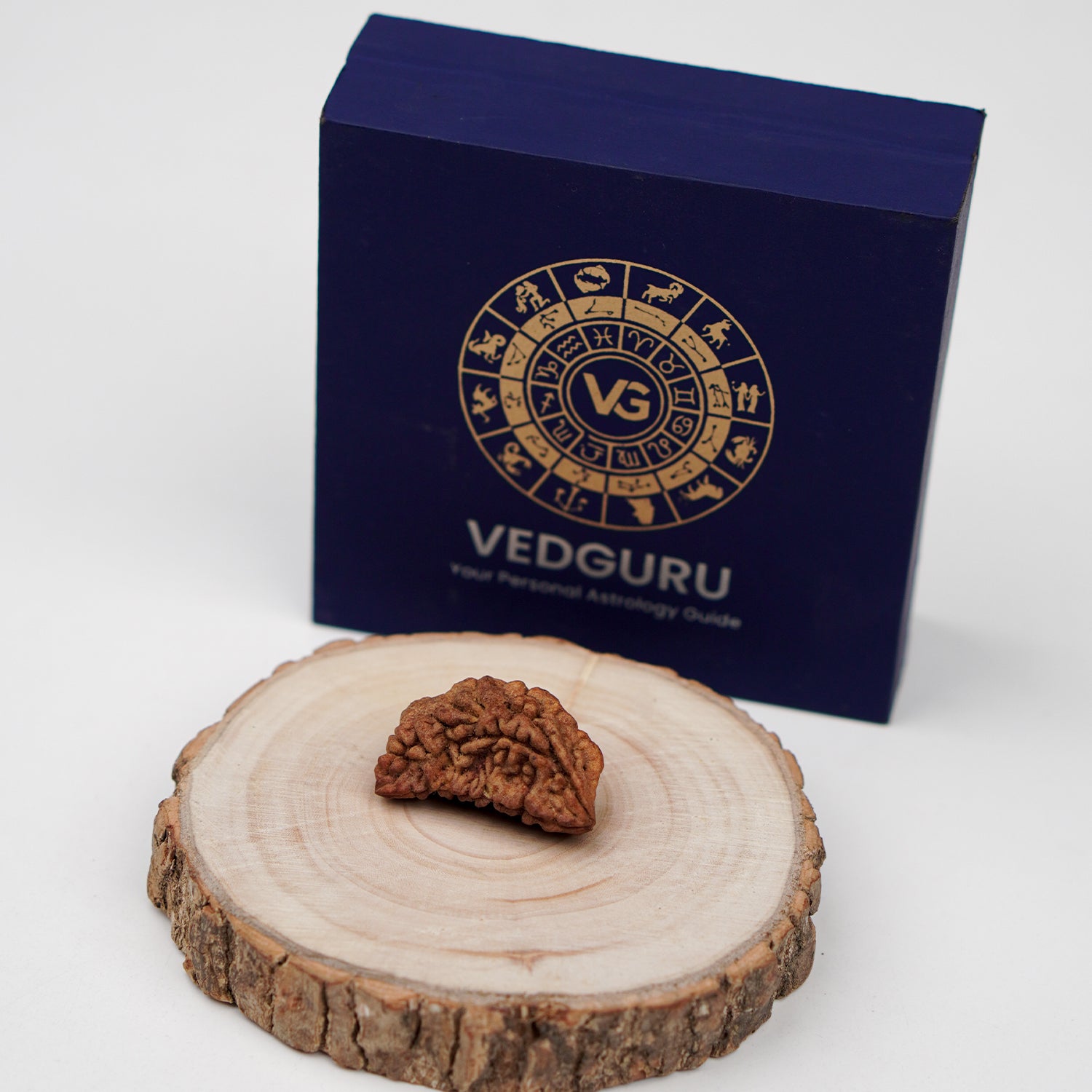 Certified 1 Mukhi Rudraksha (South Indian)