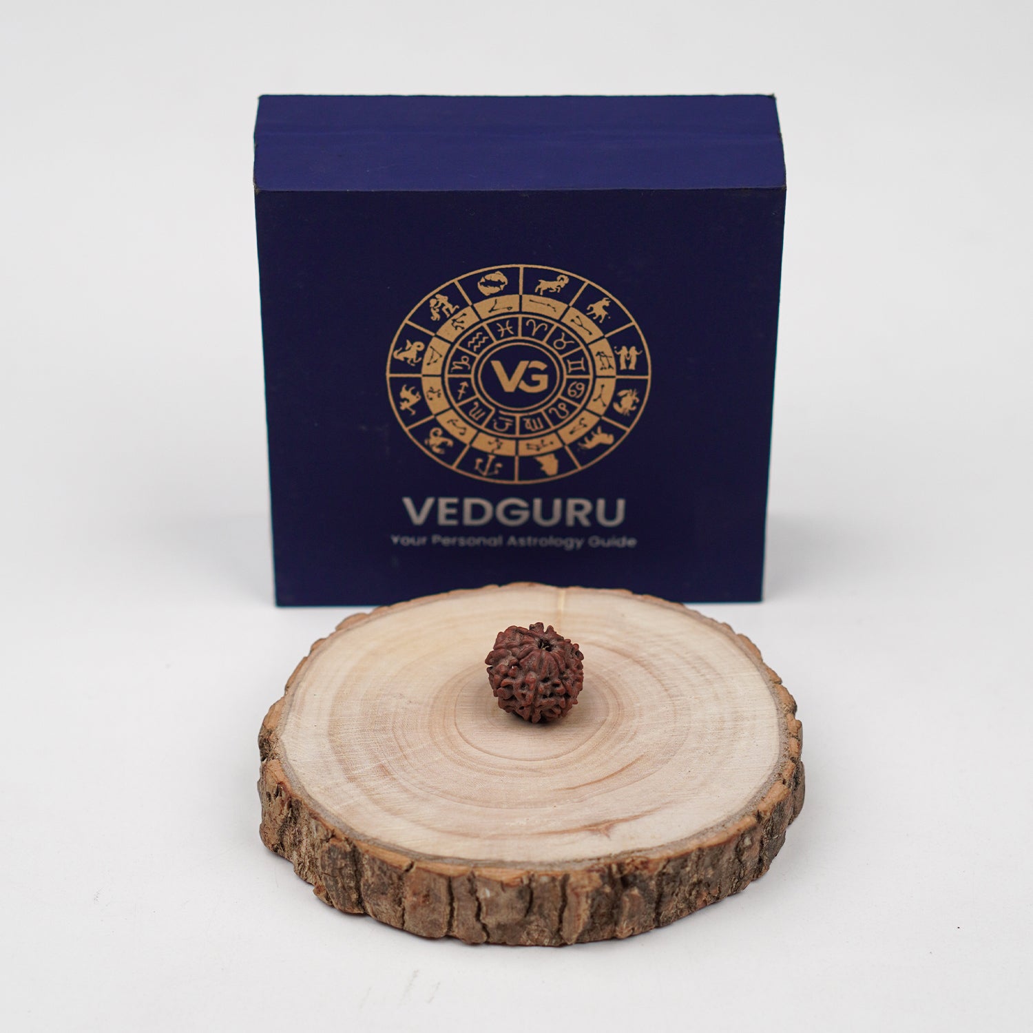 Certified 9 Mukhi Rudraksha