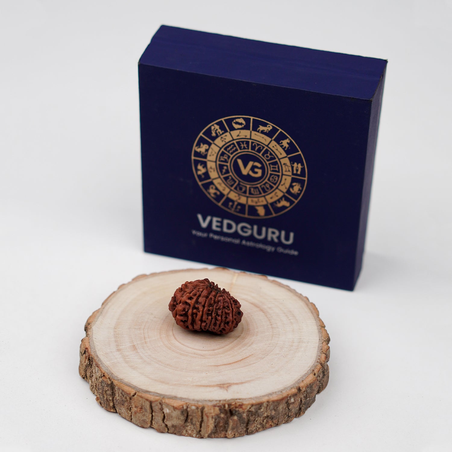 Certified 14 Mukhi Rudraksha