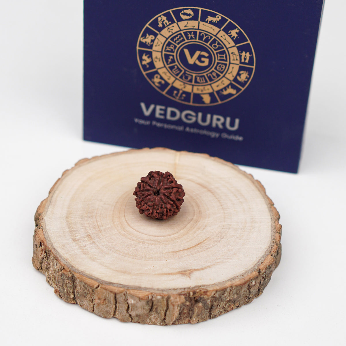 Certified 8 Mukhi Rudraksha (Nepal) - 17mm to 22mm