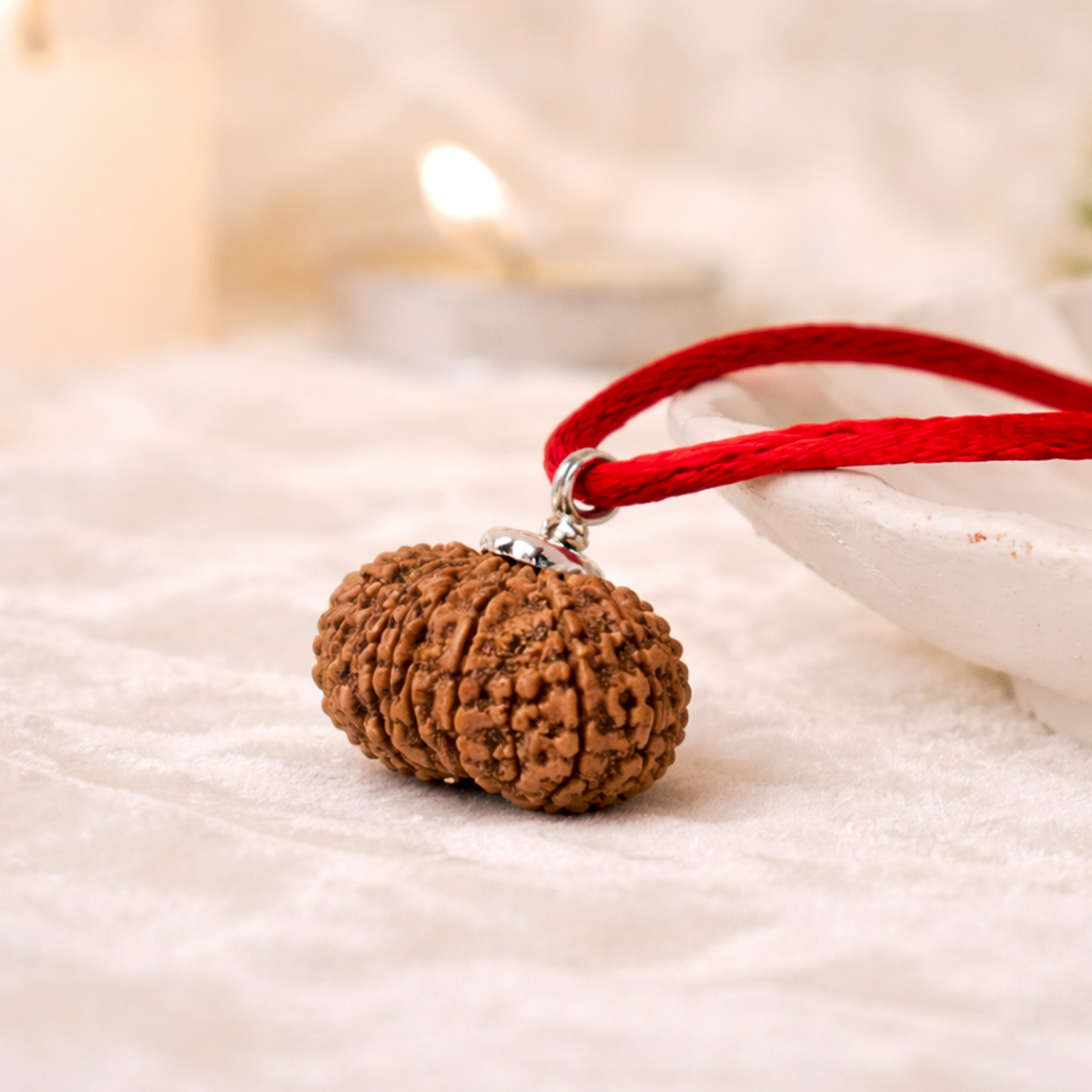 Certified 13 Mukhi Rudraksha