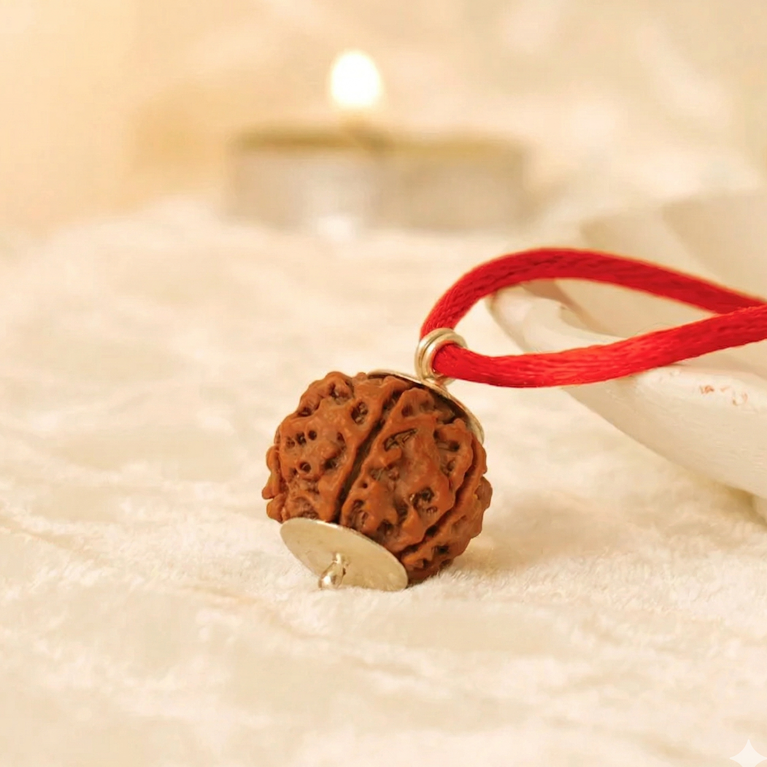 Certified 7 Mukhi Rudraksha