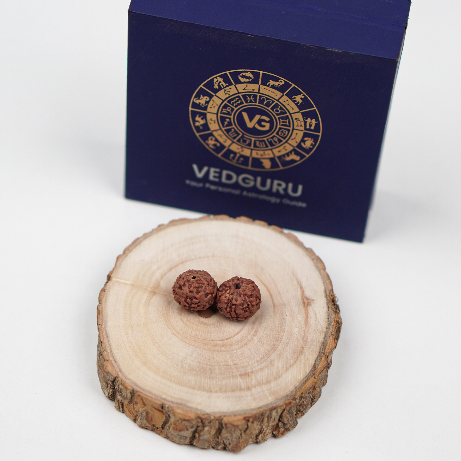 Certified 7 Mukhi Rudraksha