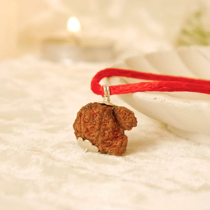 Certified Gauri Shankar Rudraksha (Nepal) - 17mm to 22mm